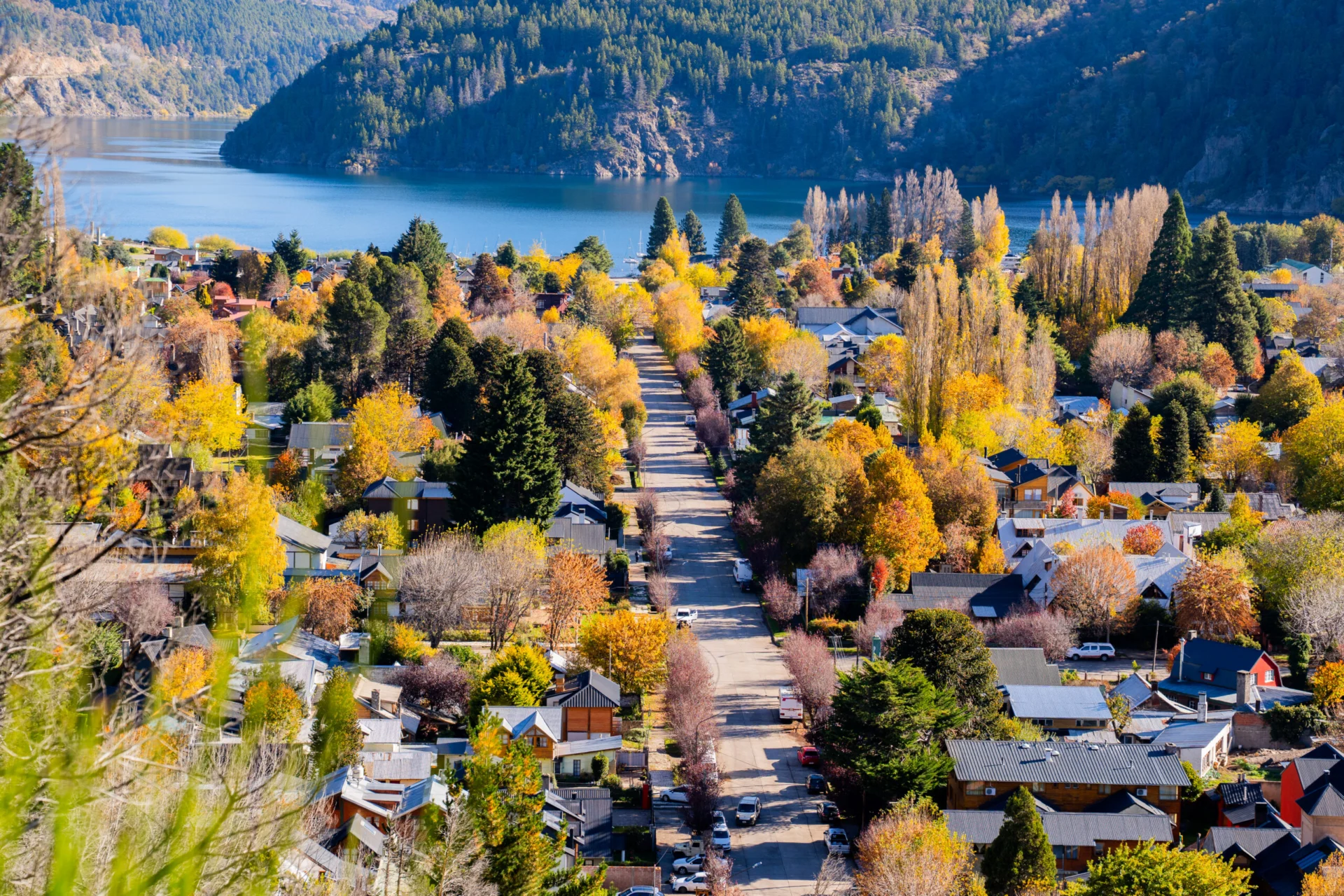 Calle en otoño