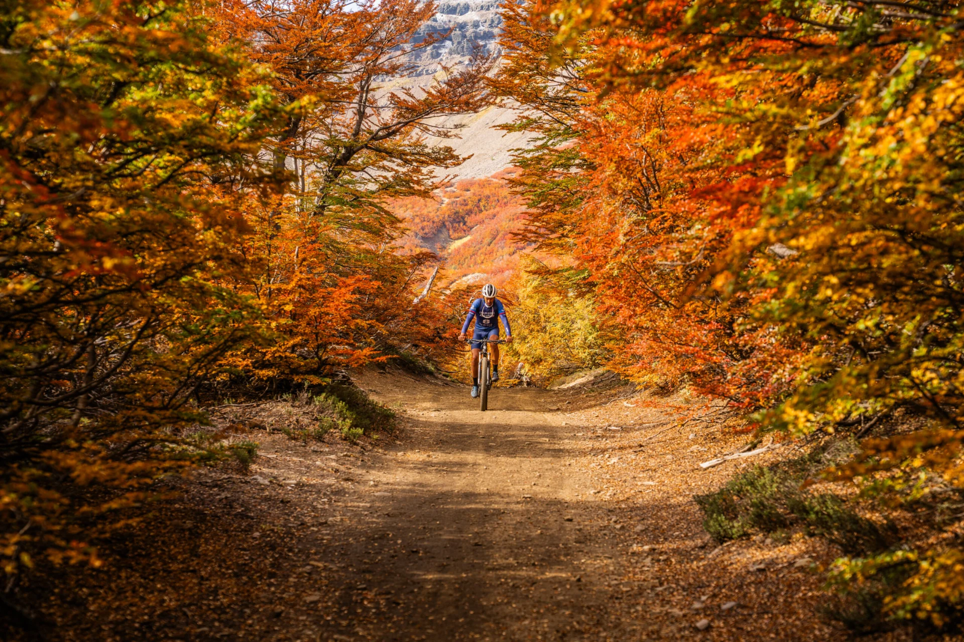 Camino de otoño