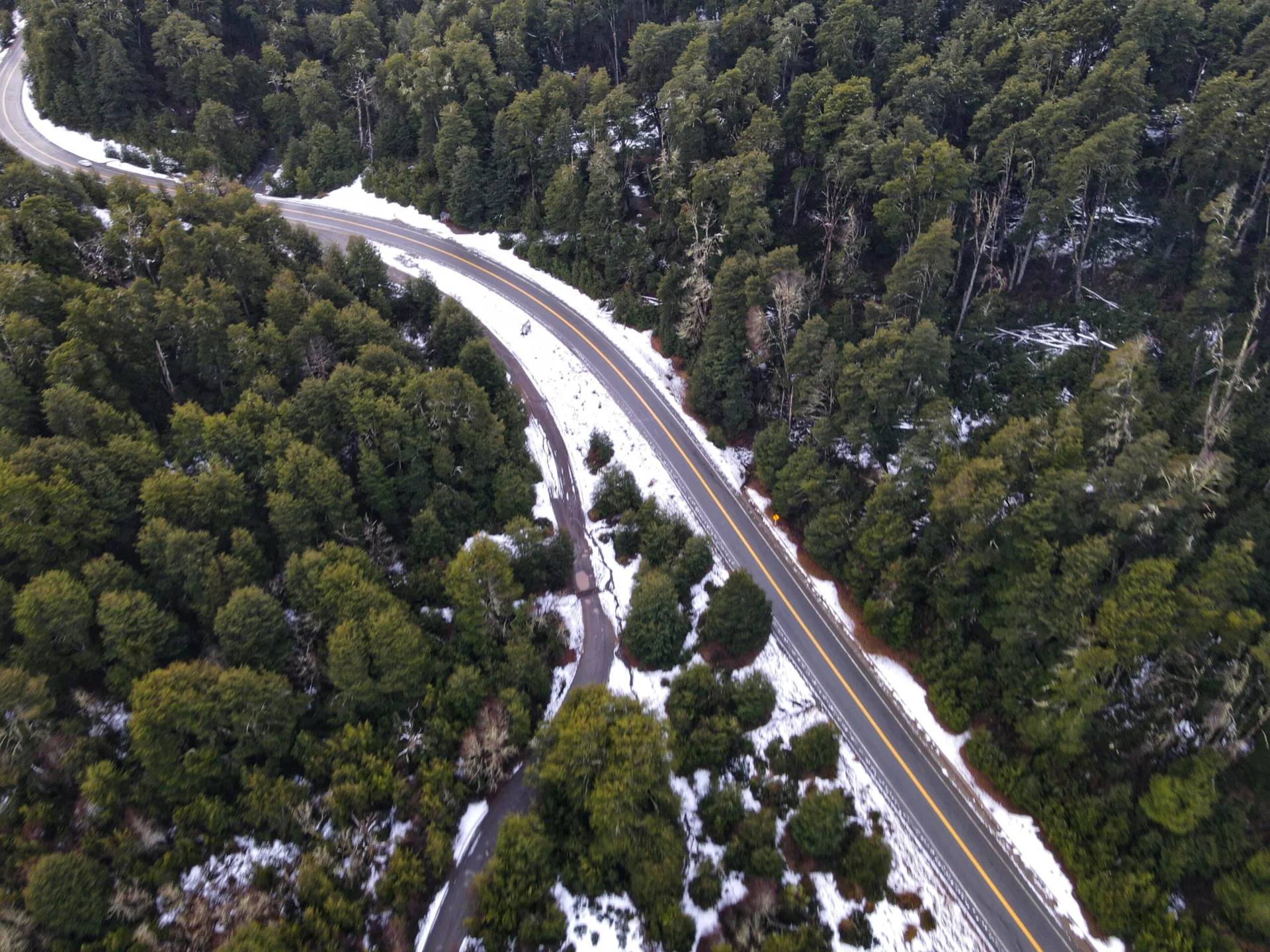 Ruta en el bosque