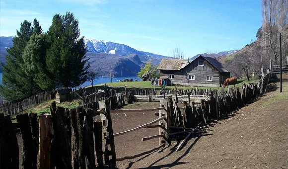 QuilaQuina