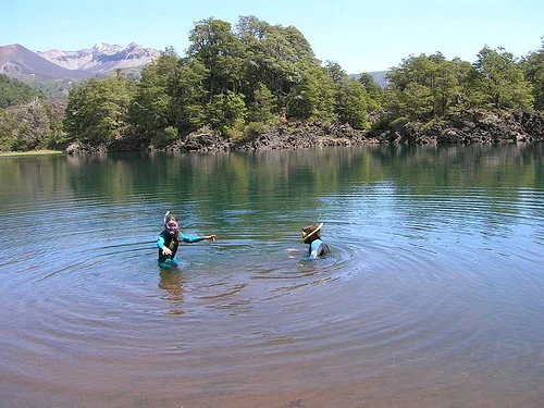 Buceo