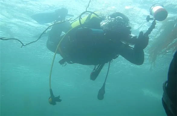 Buceo