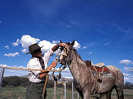 Cabalgatas