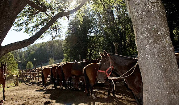 Cabalgatas