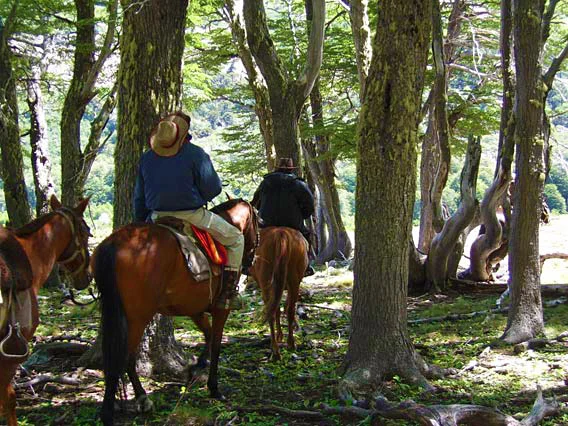 Cabalgatas