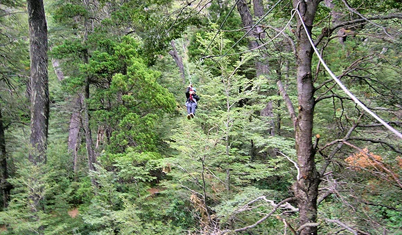 Canopy