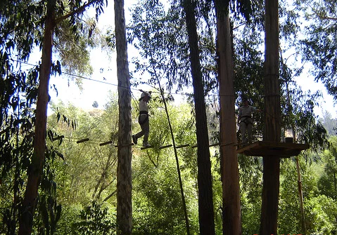 Canopy