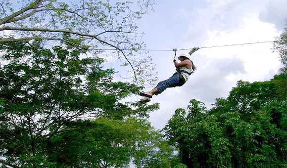 Canopy