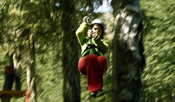 Canopy