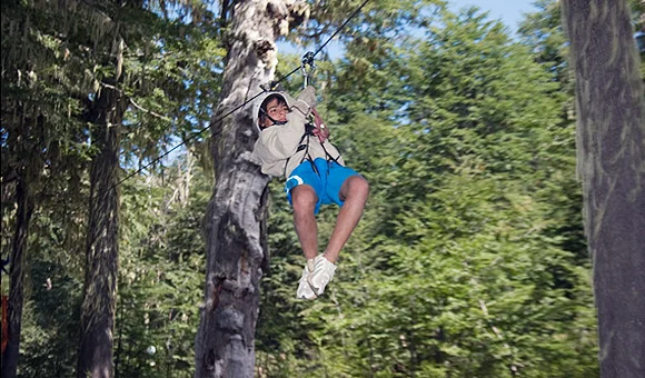 Canopy