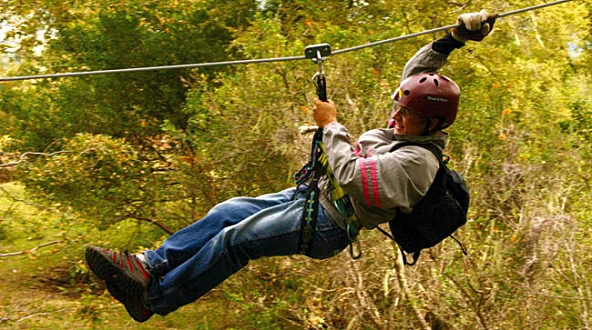 Canopy