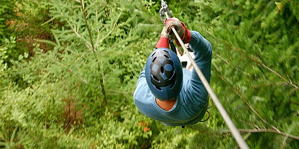 Canopy