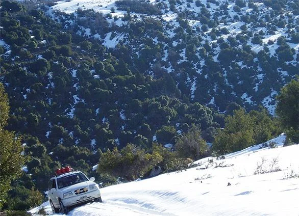 Excursiones 4 x 4