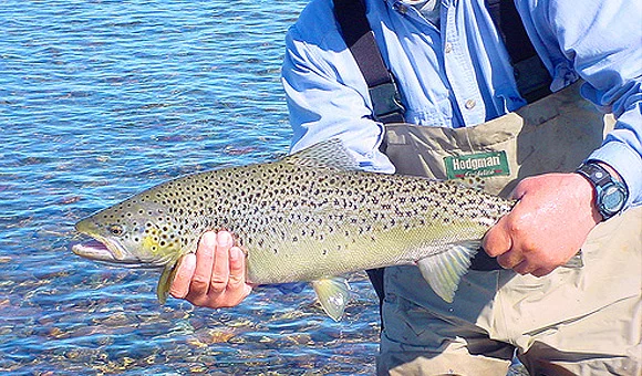 Pesca – Fly Fishing
