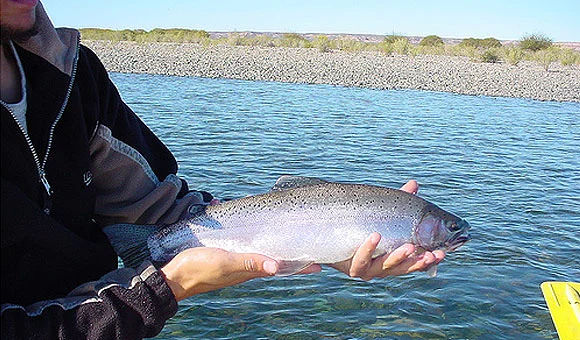 Pesca – Fly Fishing