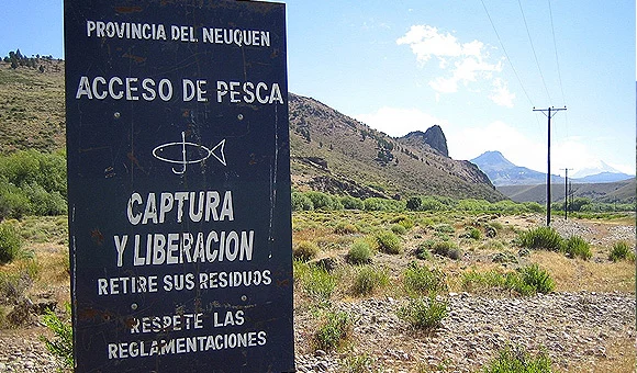 Pesca – Fly Fishing