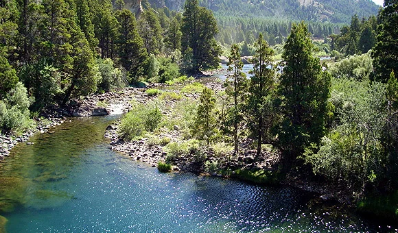 Pesca – Fly Fishing