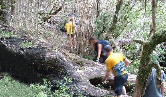 Trekking