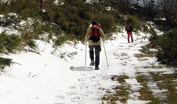 Trekking