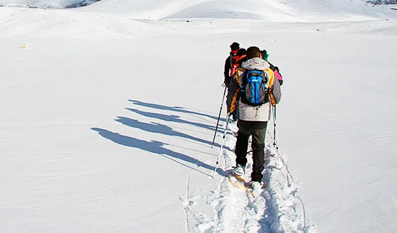 Trekking