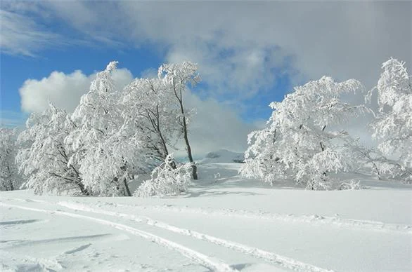 Cerro Chapelco