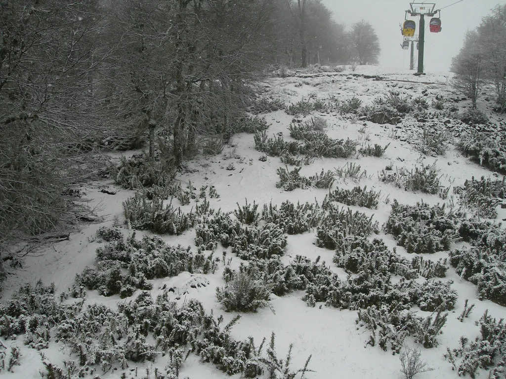 Cerro Chapelco