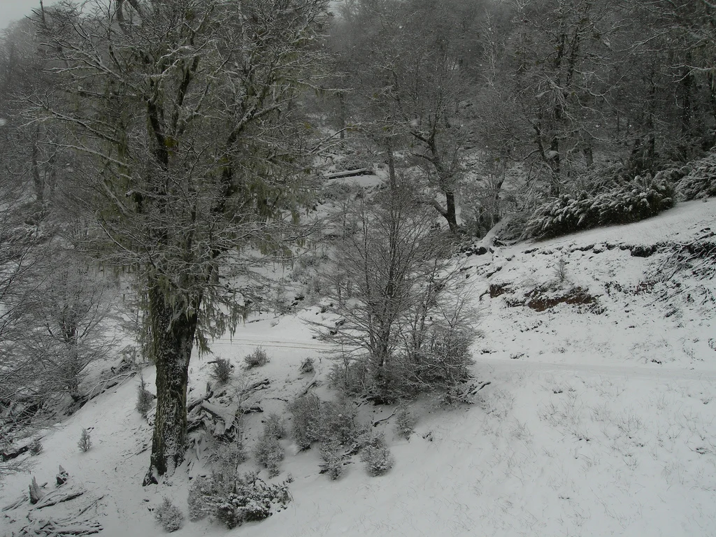 Cerro Chapelco