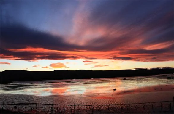 Parque Nacional Lanin