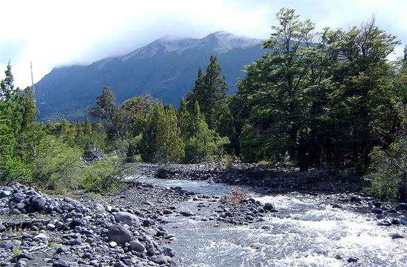 Parque Nacional Lanin