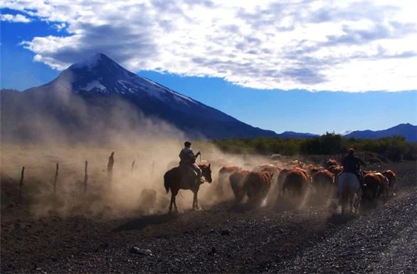 Parque Nacional Lanin