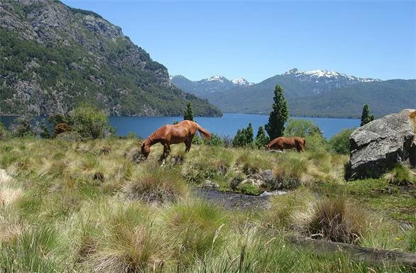 Parque Nacional Lanin