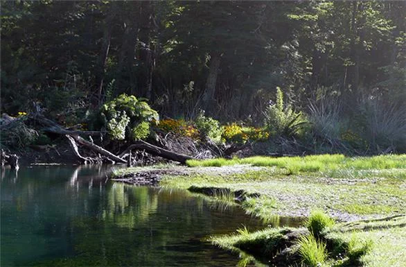 Parque Nacional Lanin