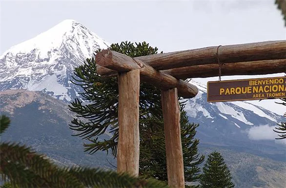 Parque Nacional Lanin