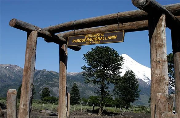 Parque Nacional Lanin