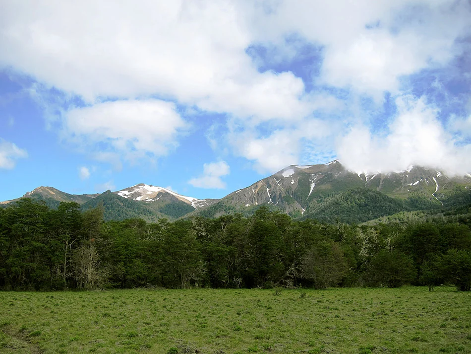 Parque Nacional Lanin