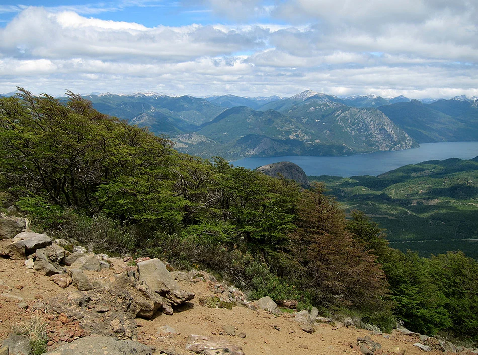 Parque Nacional Lanin
