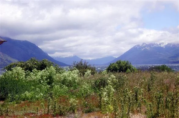 Huechulafquen y Volcán Lanín