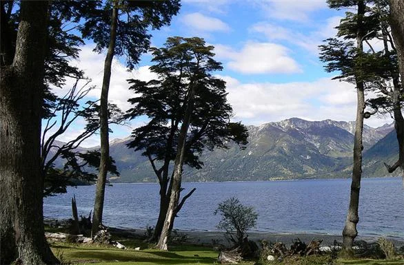 Huechulafquen y Volcán Lanín