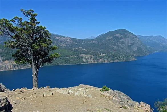 Mirador Bandurrias