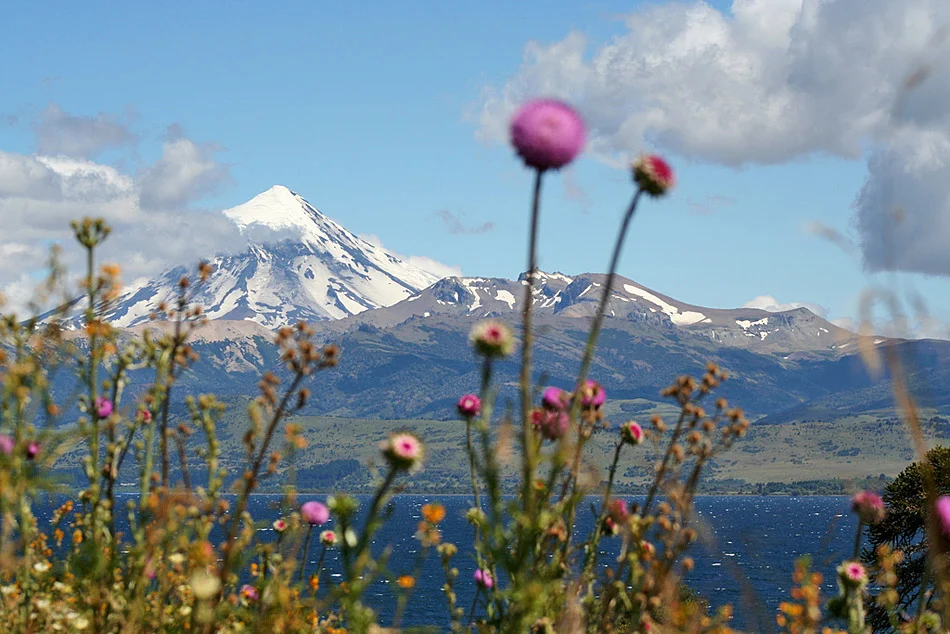 Lago Tromen y Volcán Lanín