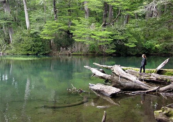 Lago Curruhué y Lahuen-co, Termas de Epulafquen