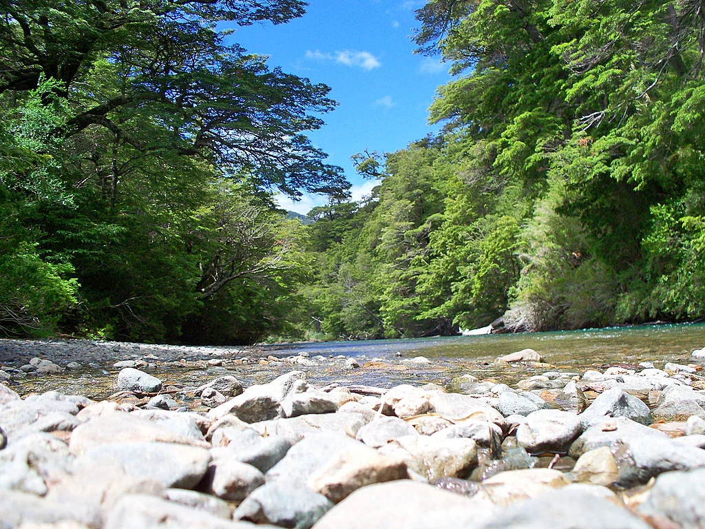 Camino de los 7 Lagos