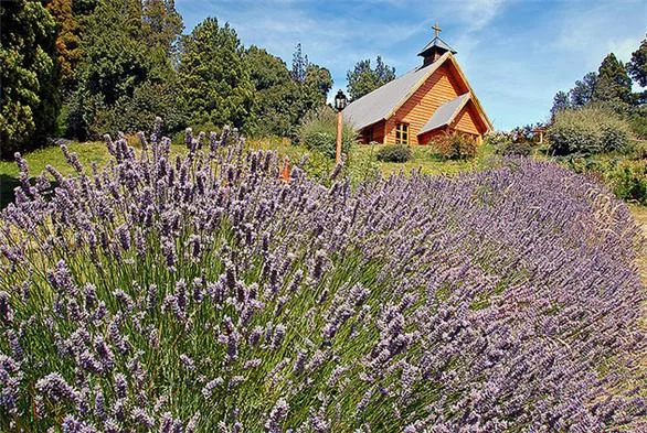 San Martín de los Andes – Villa Traful por 7 Lagos
