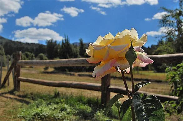San Martín de los Andes – Villa Traful por 7 Lagos
