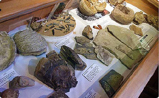 Museo Primeros Pobladores