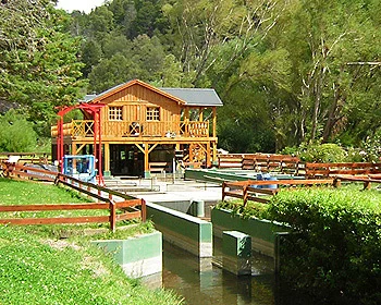 Trampa de Peces