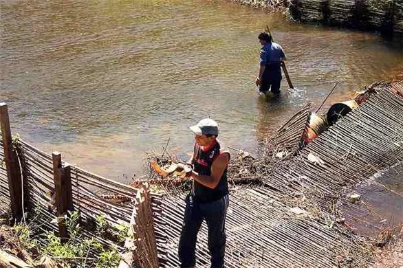 Trampa de Peces